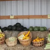 Tubbs' Berry Farm photo