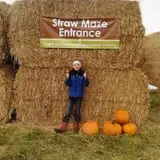 Tubbs' Berry Farm photo