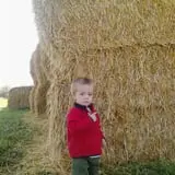 Tubbs' Berry Farm photo