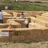 Tubbs' Berry Farm photo