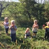Wilson's Orchard photo