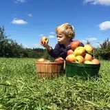 Wilson's Orchard photo
