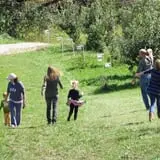 Wilson's Orchard photo