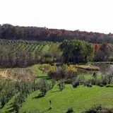 Wilson's Orchard photo
