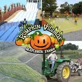 Pumpkin Village at Mapleside Farms photo
