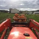 Great Valley Berry Patch photo