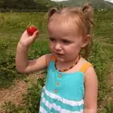 Great Valley Berry Patch photo