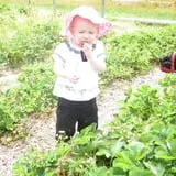 Great Valley Berry Patch photo