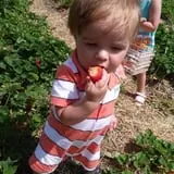 Great Valley Berry Patch photo