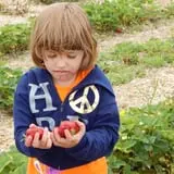 Great Valley Berry Patch photo