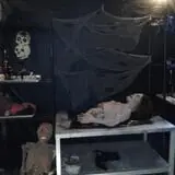 Halls of Horrors Nightmares photo