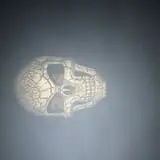 The Haunted River Float photo