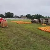 Phillips Farm Corn Maze & Pumpkin Patch photo