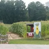 Phillips Farm Corn Maze & Pumpkin Patch photo
