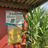 Phillips Farm Corn Maze & Pumpkin Patch photo
