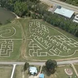 Phillips Farm Corn Maze & Pumpkin Patch photo