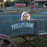 Phillips Farm Corn Maze & Pumpkin Patch photo