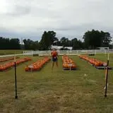 Phillips Farm Corn Maze & Pumpkin Patch photo
