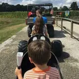 Phillips Farm Corn Maze & Pumpkin Patch photo
