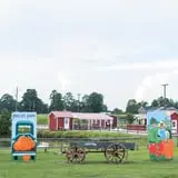 Phillips Farm Corn Maze & Pumpkin Patch photo