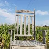 Phillips Farm Corn Maze & Pumpkin Patch photo