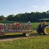 Phillips Farm Corn Maze & Pumpkin Patch photo