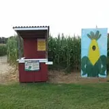 Phillips Farm Corn Maze & Pumpkin Patch photo
