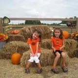 Phillips Farm Corn Maze & Pumpkin Patch photo