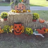 Phillips Farm Corn Maze & Pumpkin Patch photo