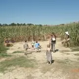 Phillips Farm Corn Maze & Pumpkin Patch photo
