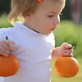 Phillips Farm Corn Maze & Pumpkin Patch photo