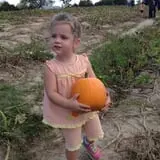 Phillips Farm Corn Maze & Pumpkin Patch photo