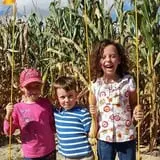 Phillips Farm Corn Maze & Pumpkin Patch photo