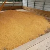 Phillips Farm Corn Maze & Pumpkin Patch photo