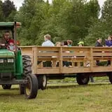 Phillips Farm Corn Maze & Pumpkin Patch photo