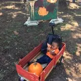 Hodges Family Farm photo