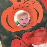 Hodges Family Farm photo