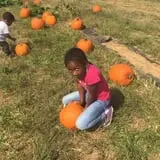 Hodges Family Farm photo