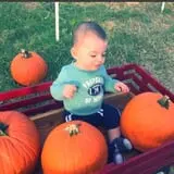 Hodges Family Farm photo