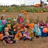 Hodges Family Farm photo