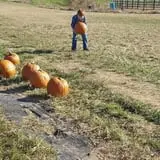 Hodges Family Farm photo
