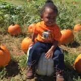 Hodges Family Farm photo