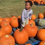 Hodges Family Farm photo