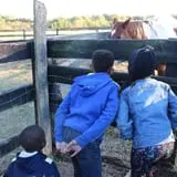 Hodges Family Farm photo