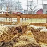 Hodges Family Farm photo