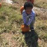 Hodges Family Farm photo