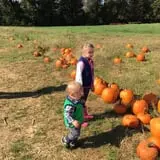Hodges Family Farm photo