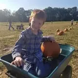 Hodges Family Farm photo