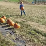 Hodges Family Farm photo