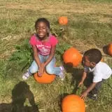 Hodges Family Farm photo